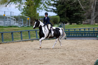 2025 - Shea - Bow Valley II - Friday May 16th - 07645