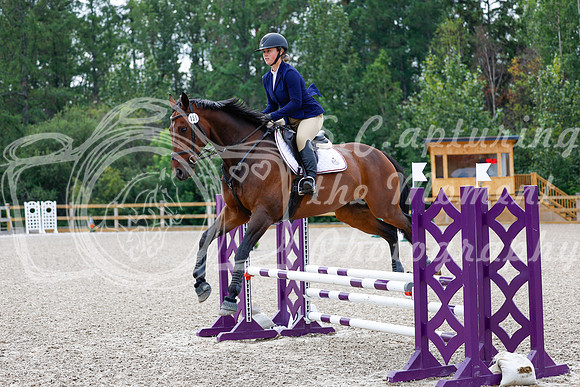 2025 - Haylee - Picco Horse Show - Saturday July 26th 03793