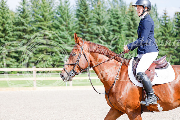 2025 - Haylee - Picco Horse Show - Saturday July 26th 08454