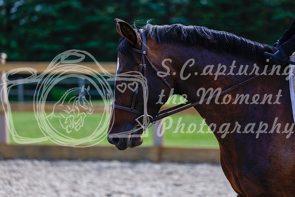 2025 - Haylee - Picco Horse Show - Thursday July 24th 01997