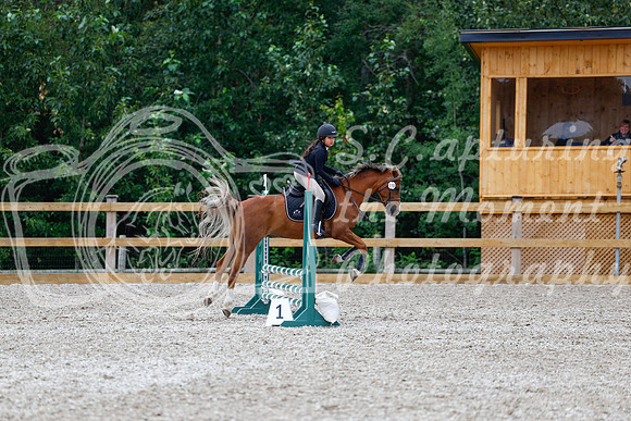2025 - Haylee - Picco Horse Show - Saturday July 26th 02324