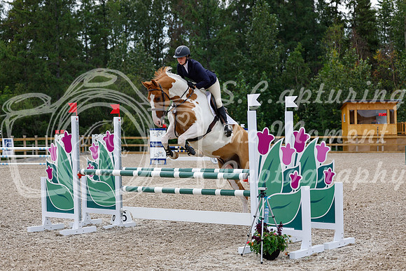2025 - Haylee - Picco Horse Show - Thursday July 24th 02884