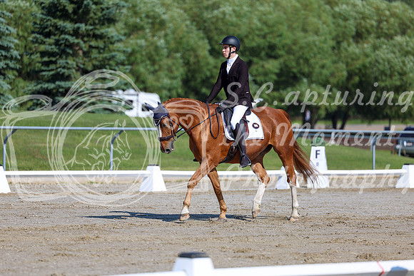 2025 - Dressage Festival - Saturday July 5th - 01652