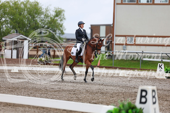 2025 - Dressage Festival - Sunday July 6th - 06506
