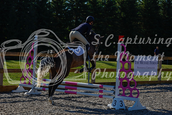 2025 - Haylee - Picco Horse Show - Thursday July 24th 00165