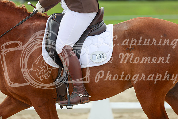2025 - Dressage Festival - Saturday July 5th - 14097