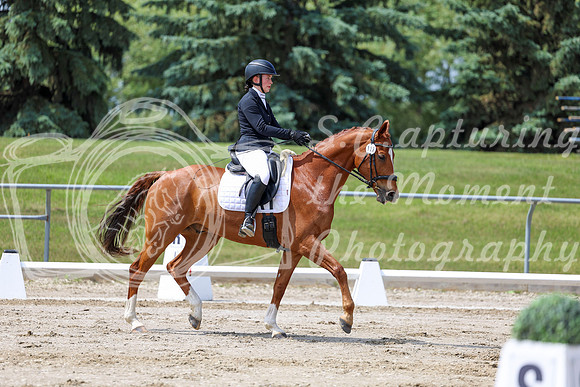 2025 - Dressage Festival - Saturday July 5th - 07876