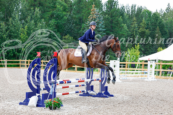 2025 - Haylee - Picco Horse Show - Saturday July 26th 03803