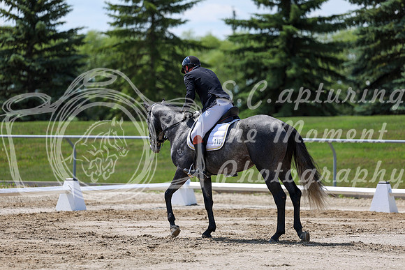 2025 - Dressage Festival - Saturday July 5th - 09237