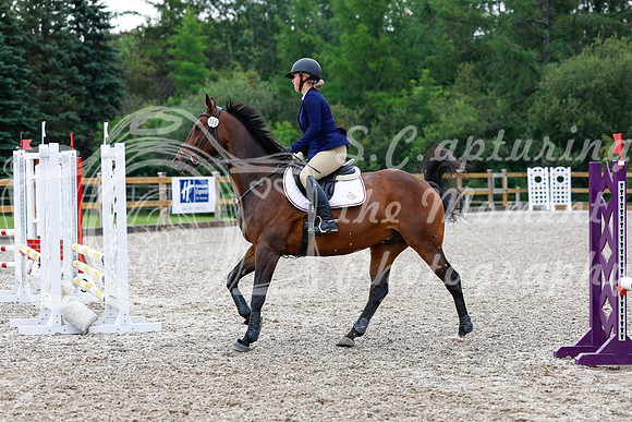 2025 - Haylee - Picco Horse Show - Saturday July 26th 02231