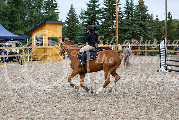 2025 - Haylee - Picco Horse Show - Saturday July 26th 02394