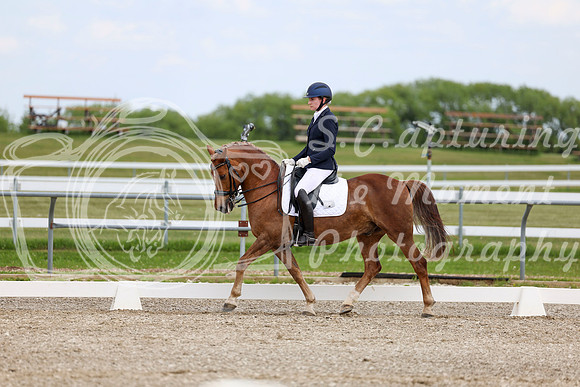 2025 - Dressage Festival - Saturday July 5th - 11831