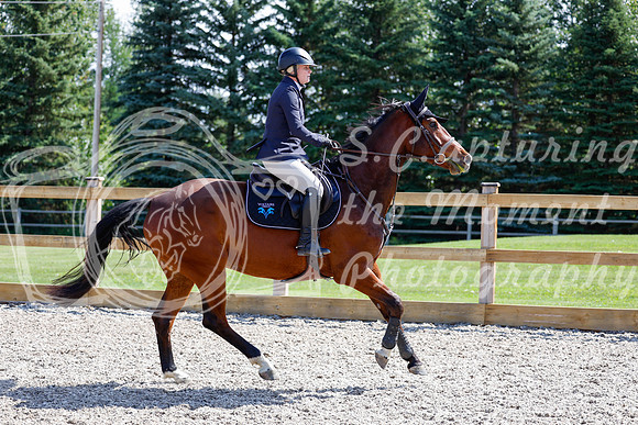 2025 - Haylee - Picco Horse Show - Thursday July 24th 02286