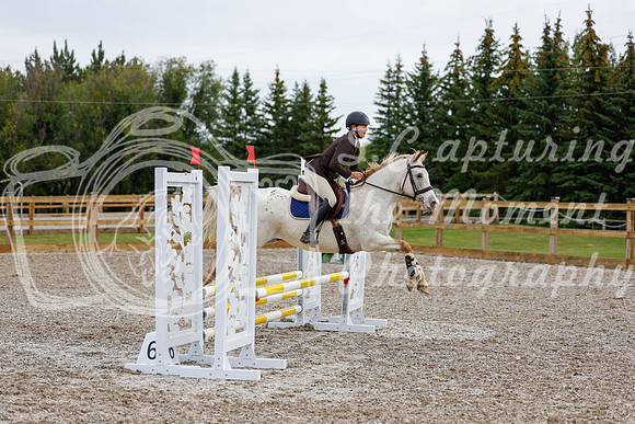 2025 - Haylee - Picco Horse Show - Friay July 25th 00960