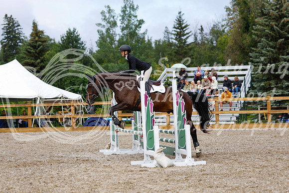 2025 - Haylee - Picco Horse Show - Sunday July 27th 02089
