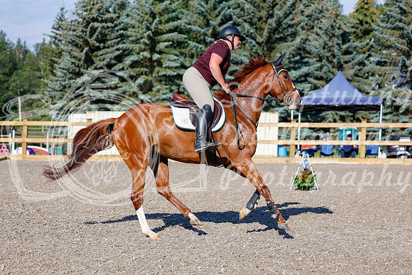 2025 - Haylee - Picco Horse Show - Thursday July 24th 00250