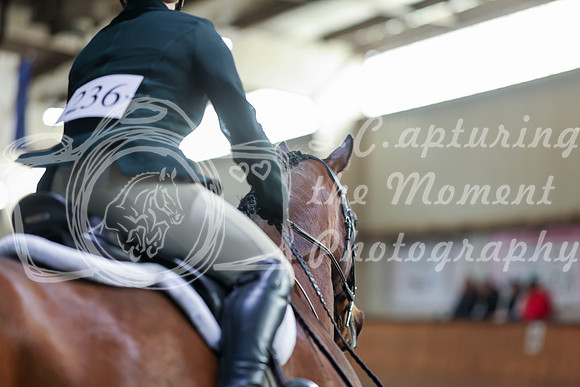 2025 - HJ Schooling - Saturday March 22nd - 7401