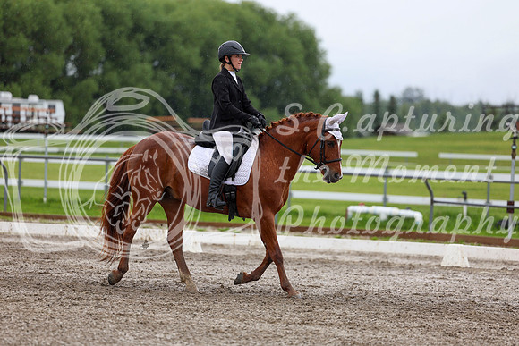 2025 - Dressage Festival - Sunday July 6th - 06091