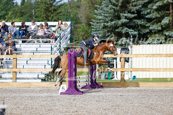 2025 - Haylee - Picco Horse Show - Friay July 25th 00663
