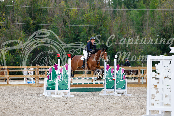 2025 - Haylee - Picco Horse Show - Saturday July 26th 05522