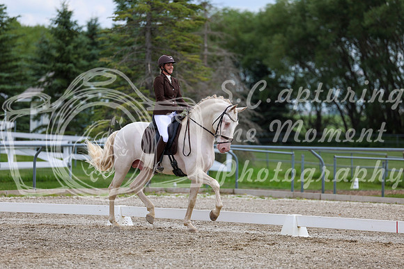 2025 - Dressage Festival - Saturday July 5th - 12148