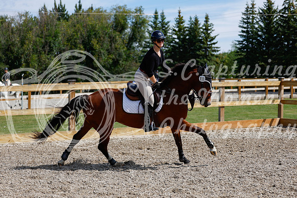 2025 - Haylee - Picco Horse Show - Thursday July 24th 02252