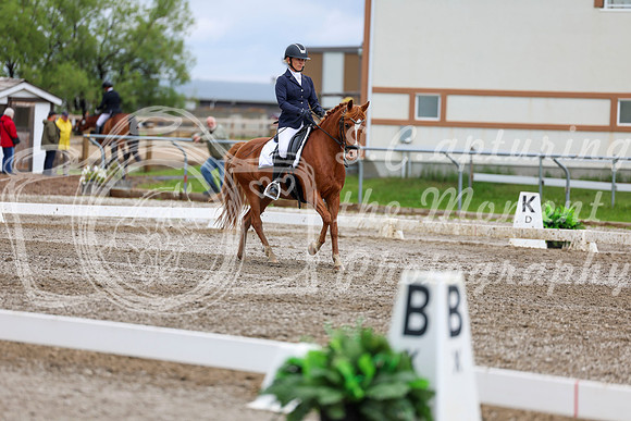 2025 - Dressage Festival - Sunday July 6th - 12199
