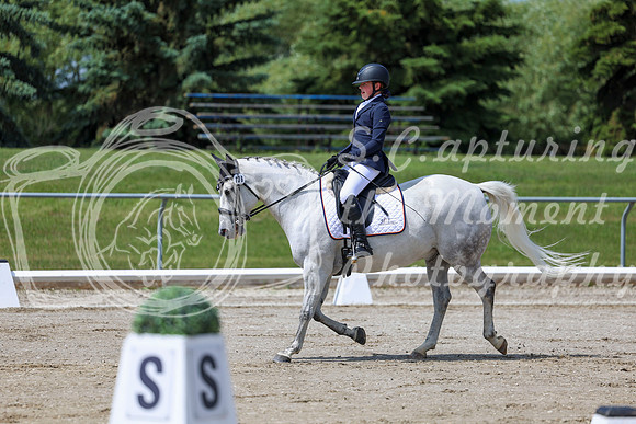 2025 - Dressage Festival - Saturday July 5th - 06684