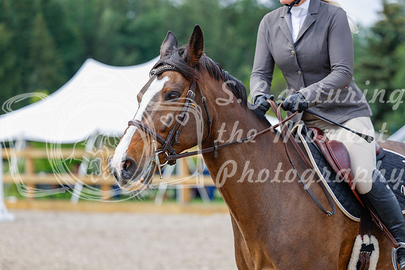 2025 - Haylee - Picco Horse Show - Saturday July 26th 03966