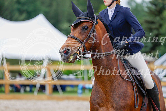 2025 - Haylee - Picco Horse Show - Saturday July 26th 04653