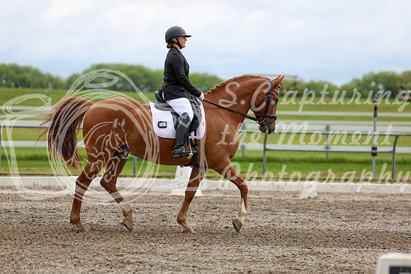 2025 - Dressage Festival - Sunday July 6th - 11098