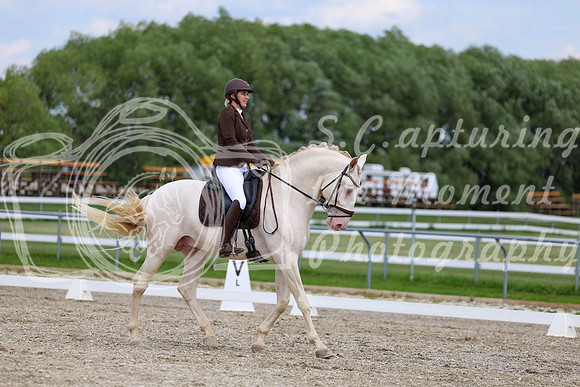 2025 - Dressage Festival - Saturday July 5th - 12086