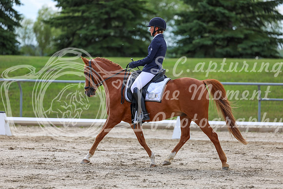 2025 - Dressage Festival - Saturday July 5th - 13787