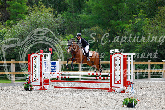 2025 - Haylee - Picco Horse Show - Sunday July 27th 03884