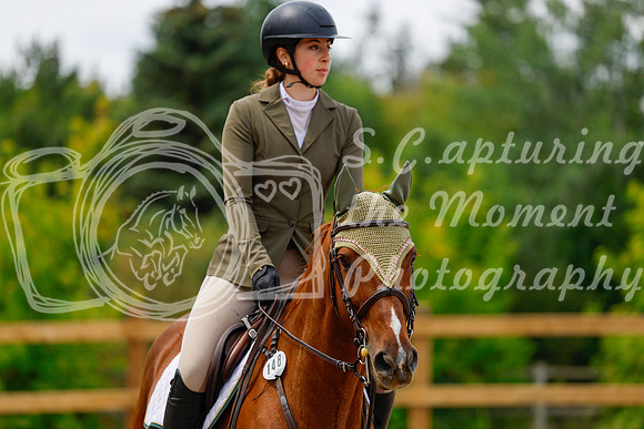 2025 - Haylee - Picco Horse Show - Saturday July 26th 06074