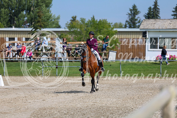 2025 - Dressage Festival - Saturday July 5th - 03064