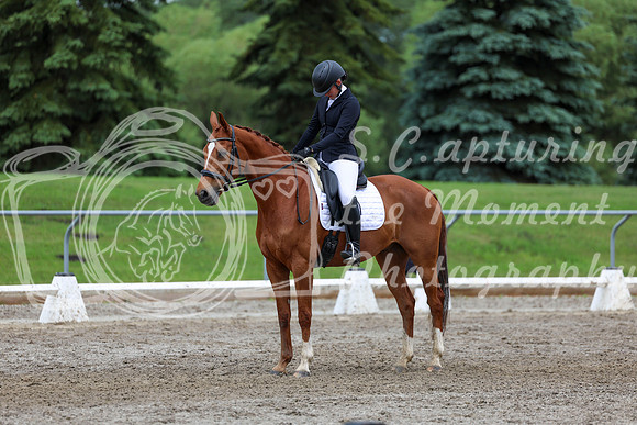 2025 - Dressage Festival - Sunday July 6th - 12272