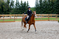 2025 - Haylee - Picco Horse Show - Saturday July 26th 02302