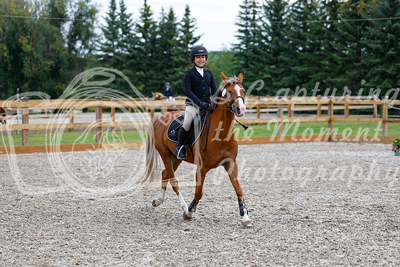 2025 - Haylee - Picco Horse Show - Saturday July 26th 02302