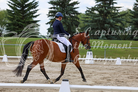 2025 - Dressage Festival - Saturday July 5th - 10488