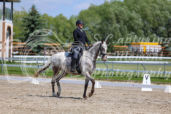 2025 - Dressage Festival - Saturday July 5th - 09008