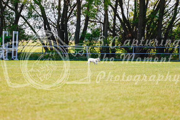 2025 - Haylee - Edmonton Classic - Friday, May 23rd - 00168