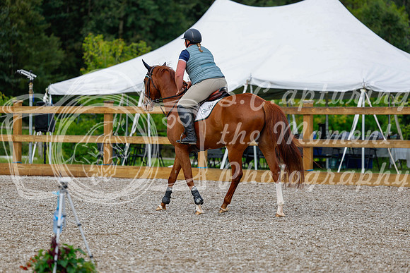 2025 - Haylee - Picco Horse Show - Friay July 25th 00294