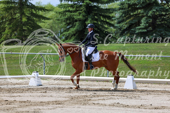 2025 - Dressage Festival - Saturday July 5th - 07992