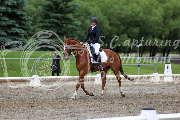 2025 - Dressage Festival - Sunday July 6th - 12266