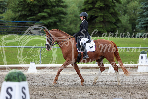 2025 - Dressage Festival - Sunday July 6th - 10410