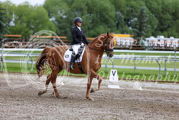 2025 - Dressage Festival - Sunday July 6th - 11082