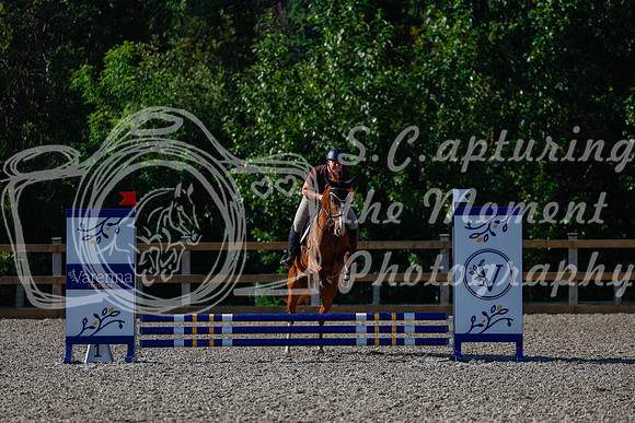 2025 - Haylee - Picco Horse Show - Thursday July 24th 00101