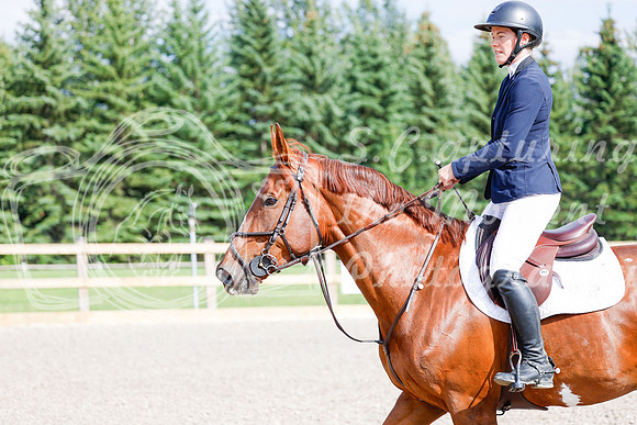 2025 - Haylee - Picco Horse Show - Saturday July 26th 08452