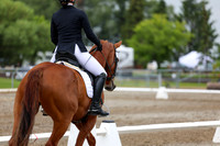2025 - Dressage Festival - Sunday July 6th - 12198